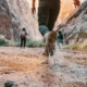 a couple of people that are walking in the dirt